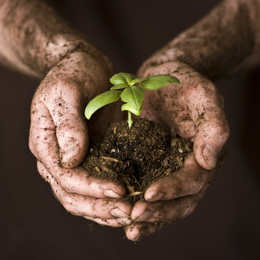 touching soil, earth, dirt and plants - Gardening trend 2020
